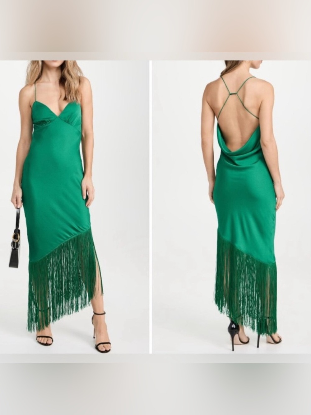 Saylor Haverine Fringe Dress